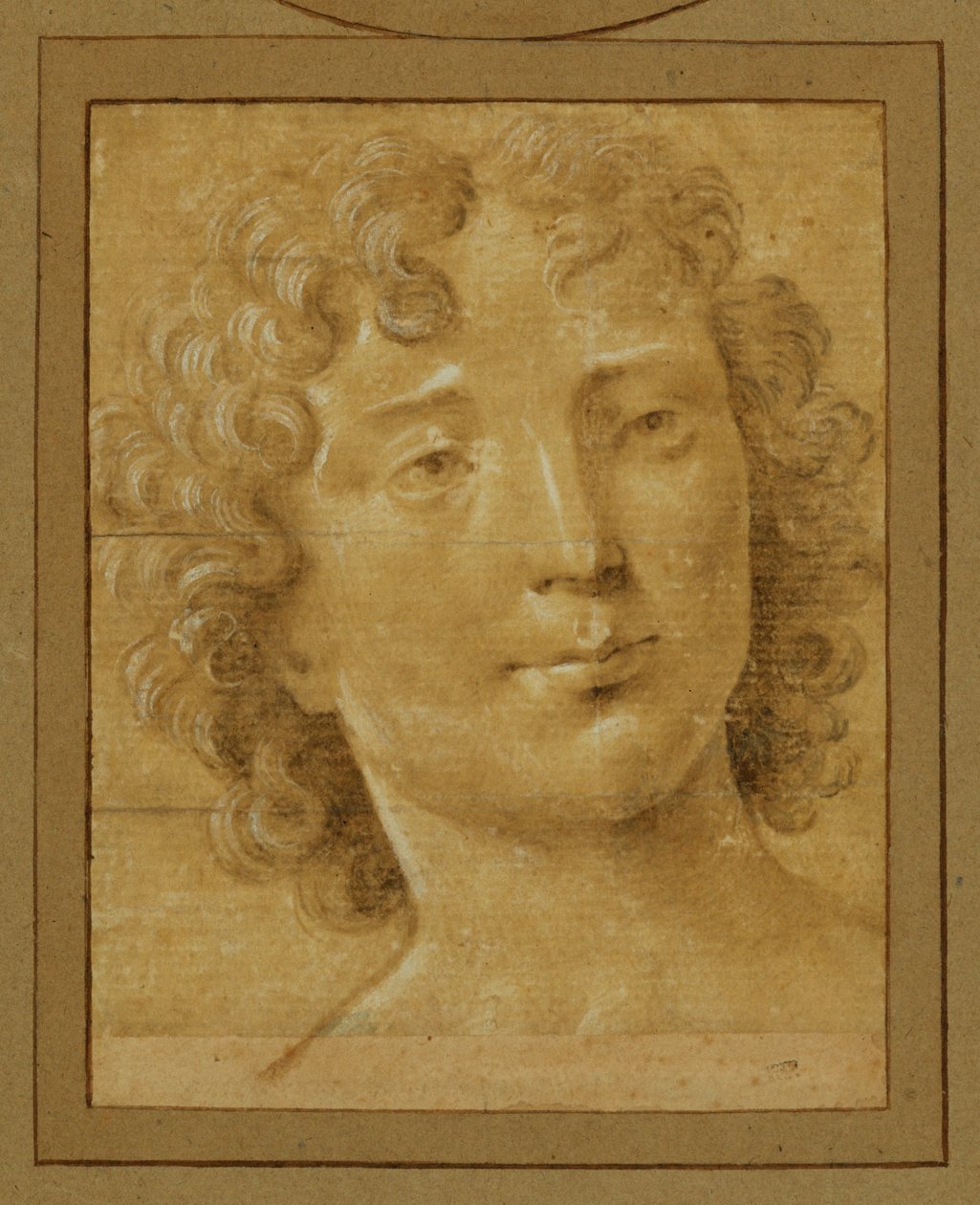 Studie eines Mannes mit langen, lockigen Haaren von Lorenzo di Credi