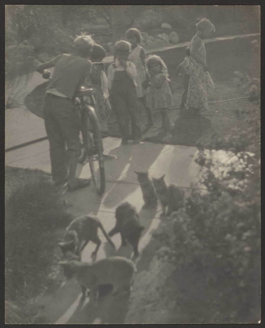 [Kinder und Katzen] von Louis Fleckenstein
