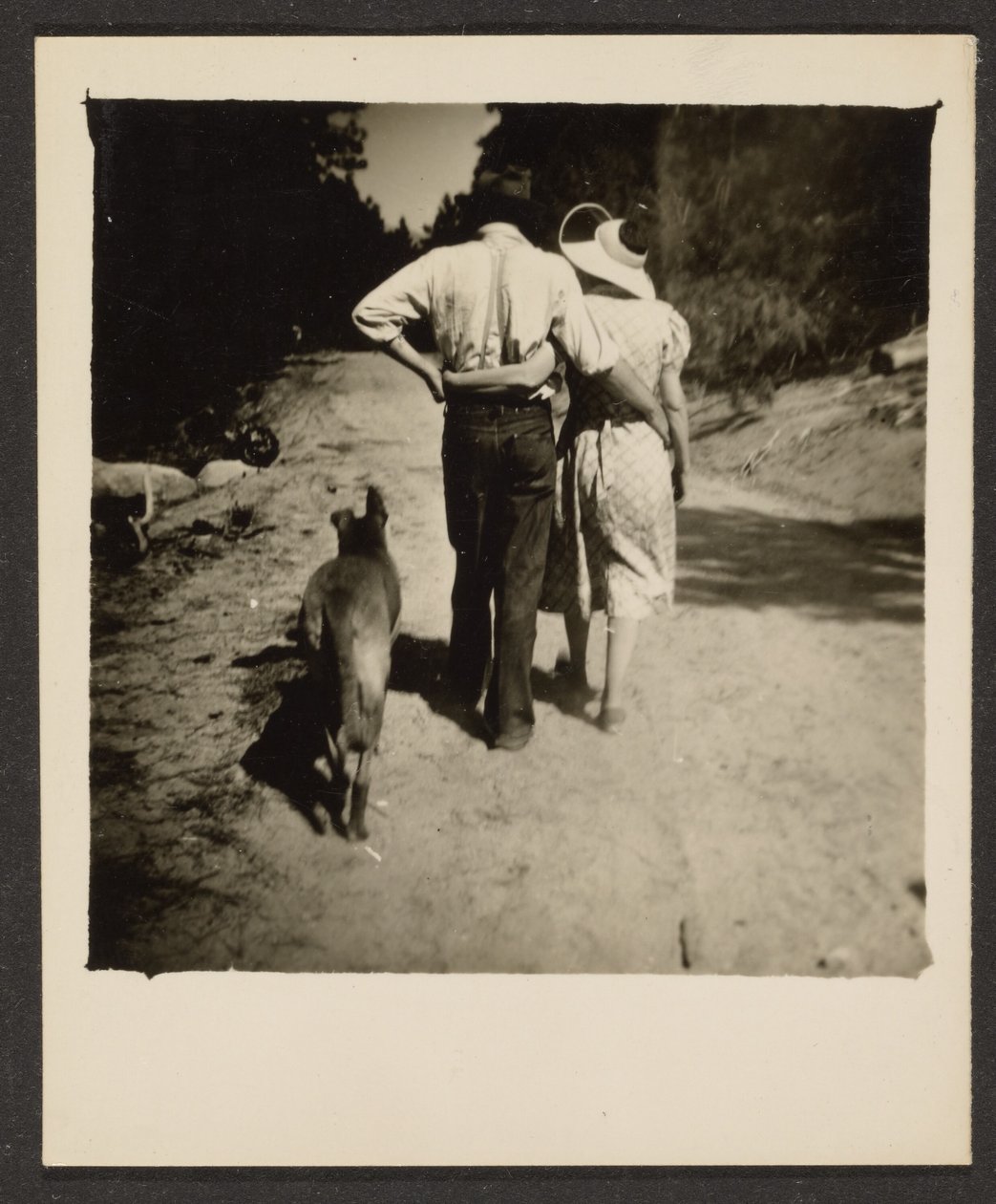 Paar mit Hund spazierend von Louis Fleckenstein