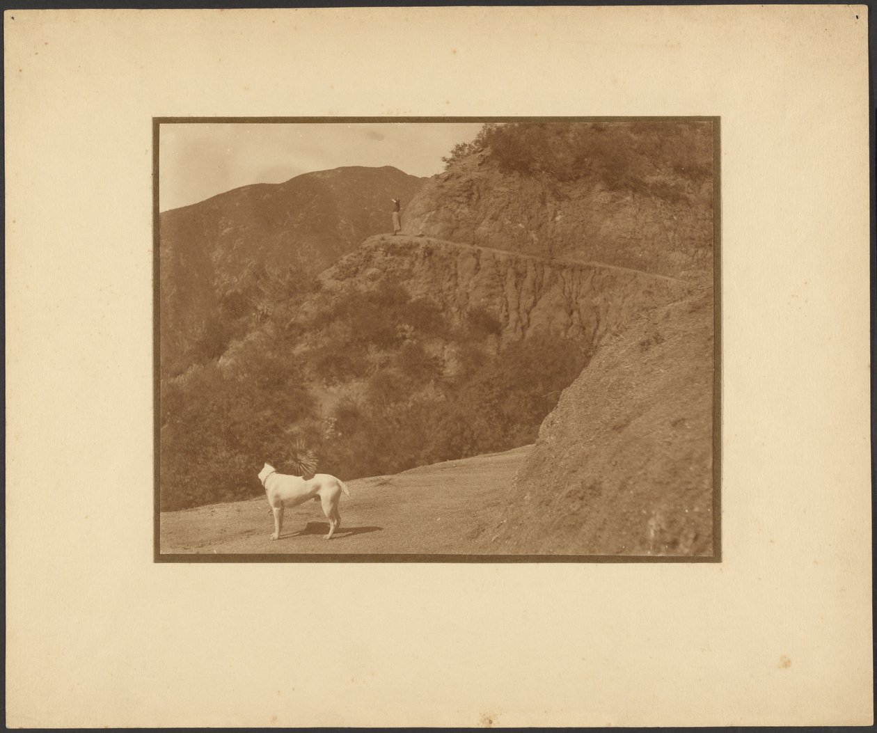 [Hund und Frau in bergiger Landschaft] von Louis Fleckenstein