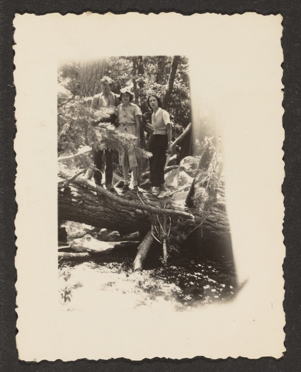 Figuren im Wald von Louis Fleckenstein