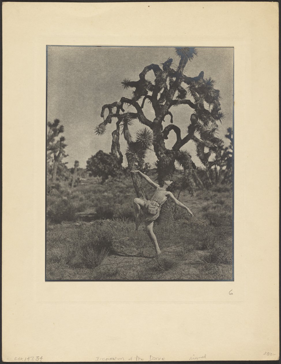 Inspiration des Tanzes von Louis Fleckenstein