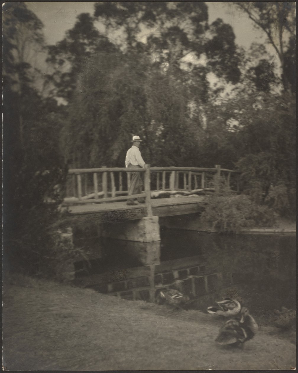 Rustikale Brücke von Louis Fleckenstein