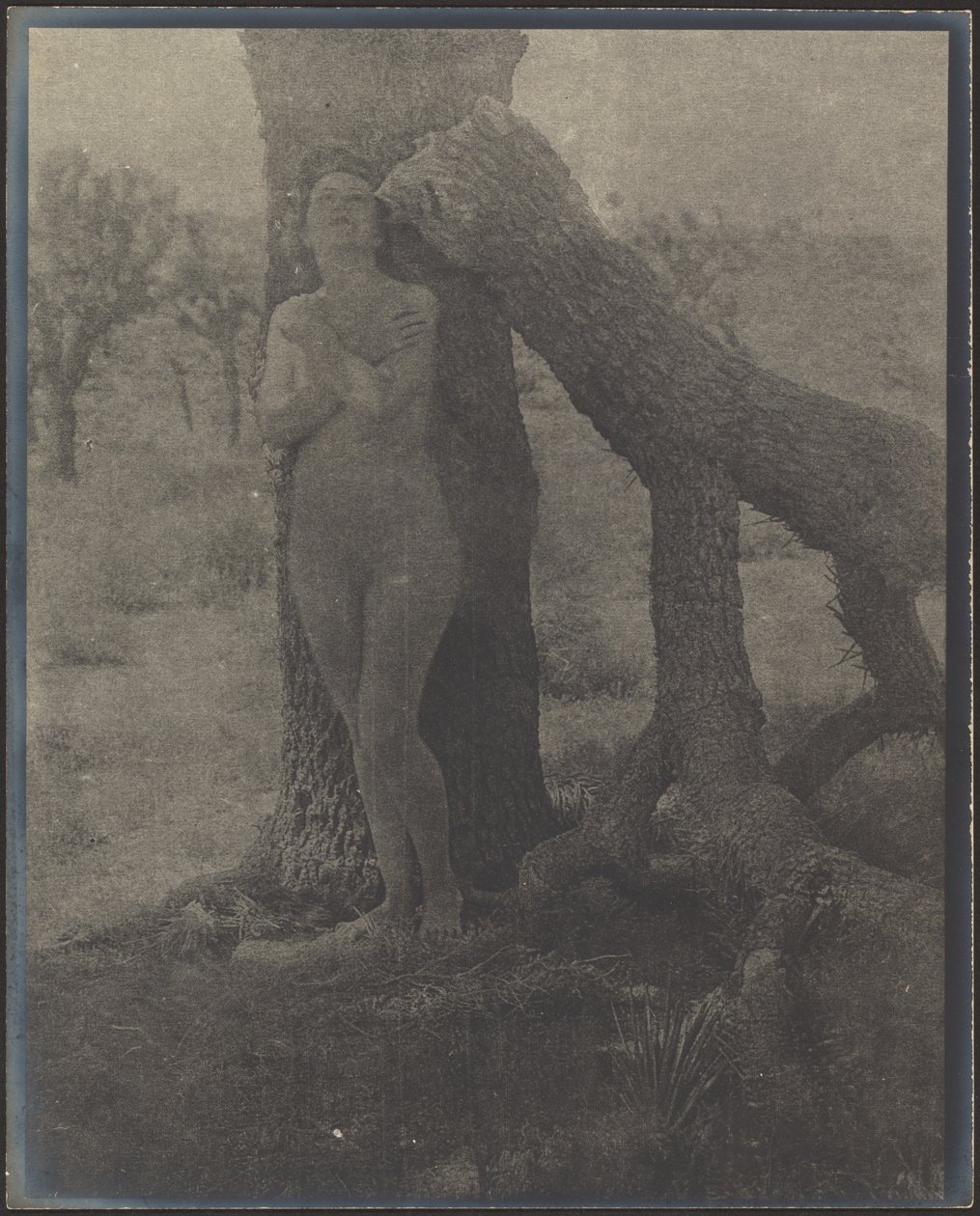 Geist des Joshua von Louis Fleckenstein