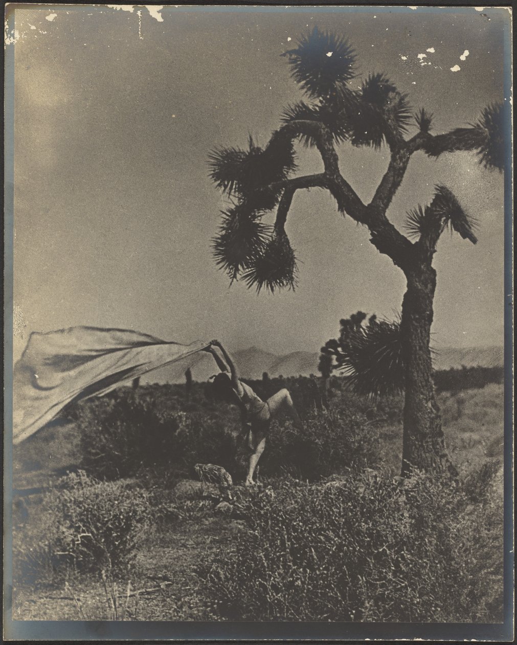 Der Wüstenwind von Louis Fleckenstein