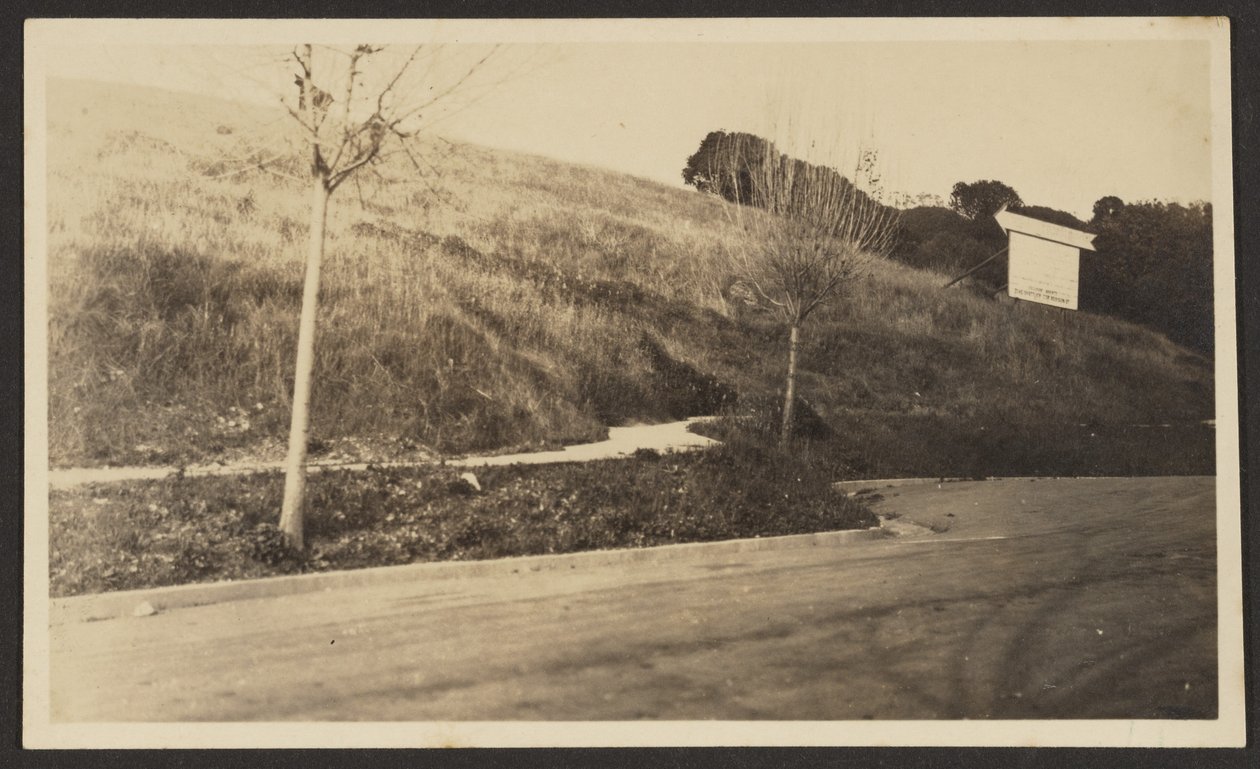 Tausend Eichen von Louis Fleckenstein