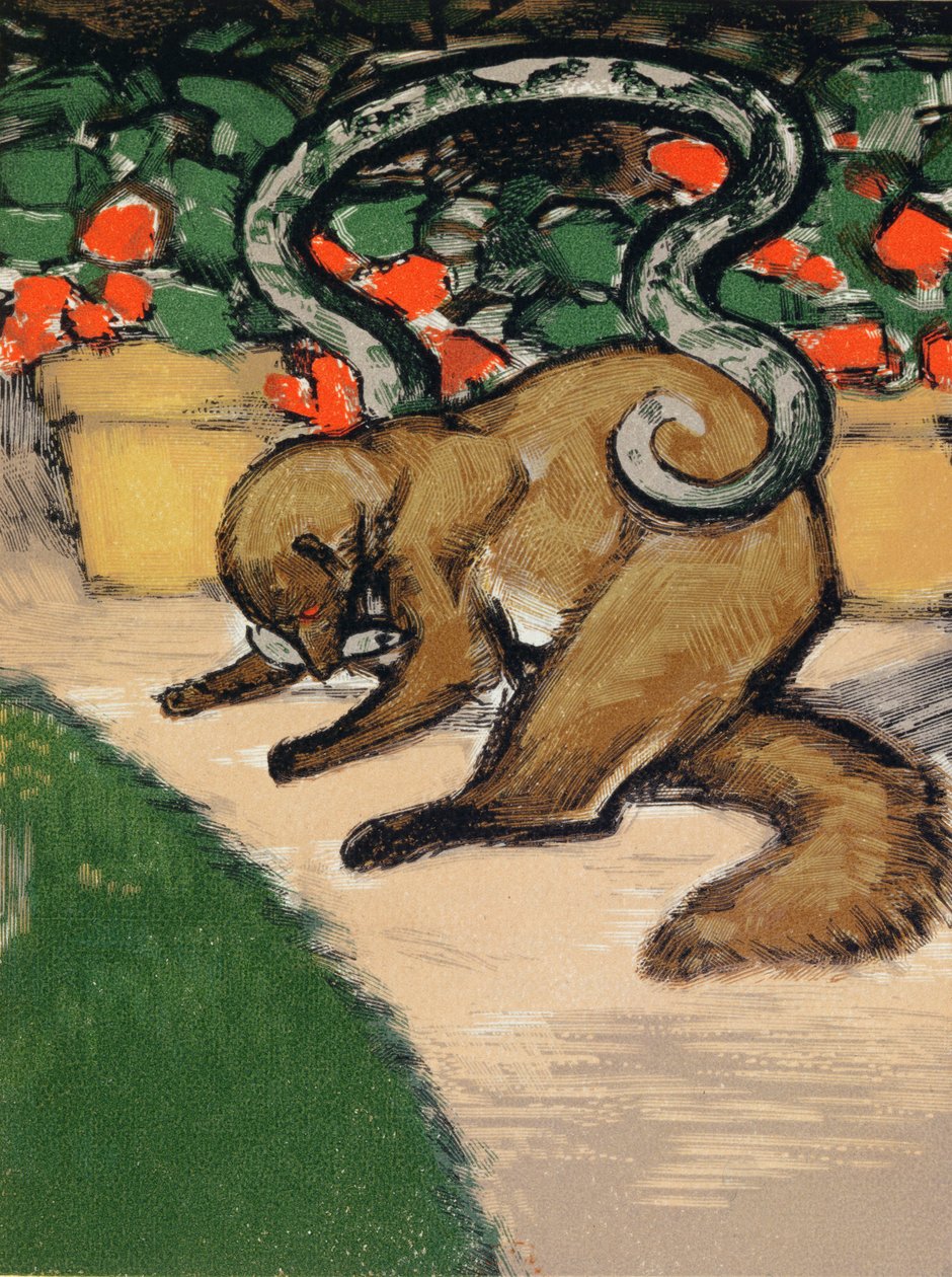 Rikki-Tikki-Tavi, Illustration aus 