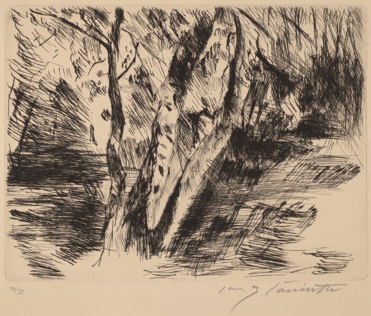Birkenstämme im Tiergarten von Lovis Corinth