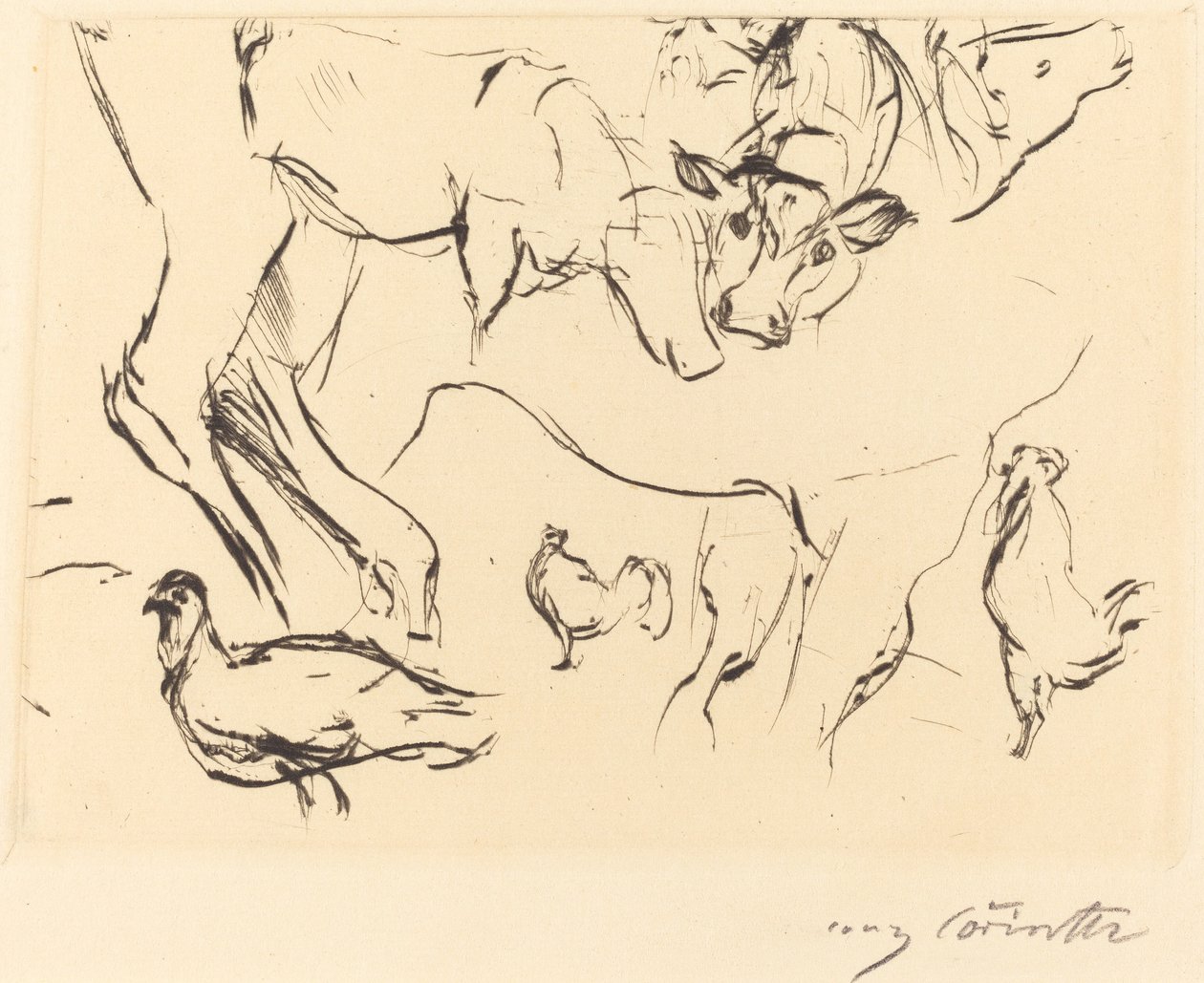 Verschiedene Tierstudien, 1917 von Lovis Corinth