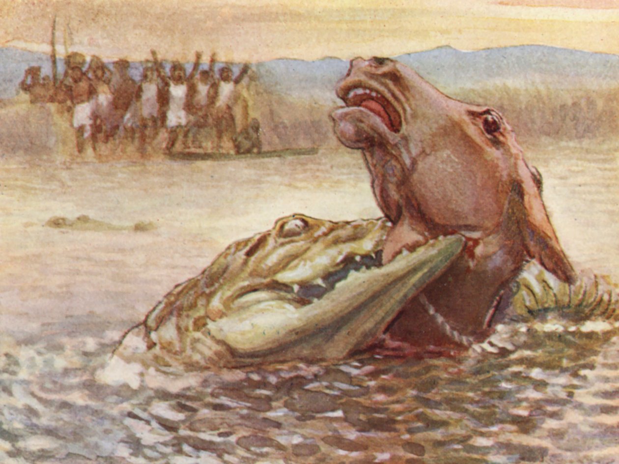 Illustration für das Leben von HM Stanley von Lowes Dalbiac Luard