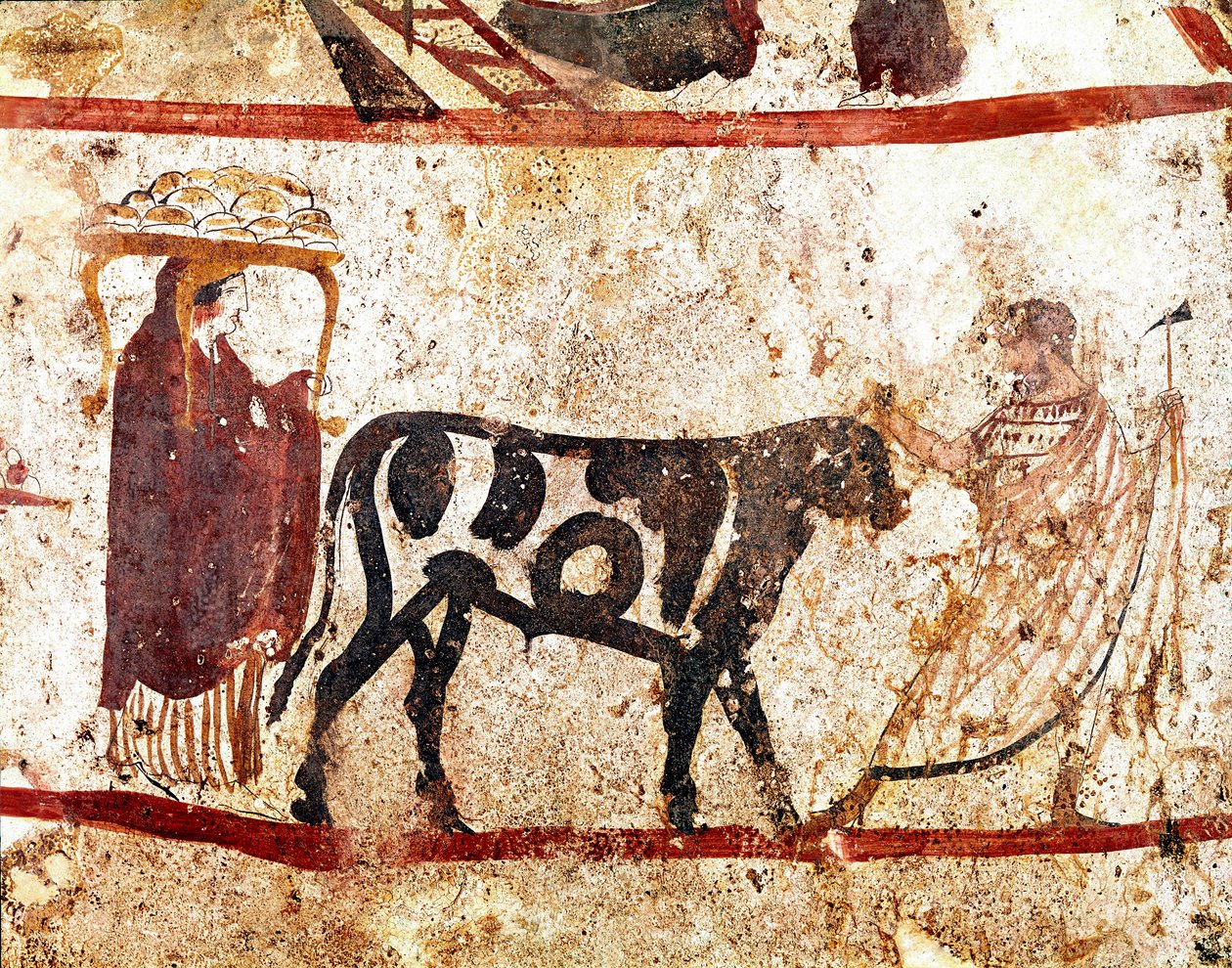 Ein Stier wird zum Altar des Opfers geführt. Lukanisches Fresko aus dem 4. Jahrhundert v. Chr., aus der Nekropole von Andriuolo in Paestum, Italien von Lucanian School