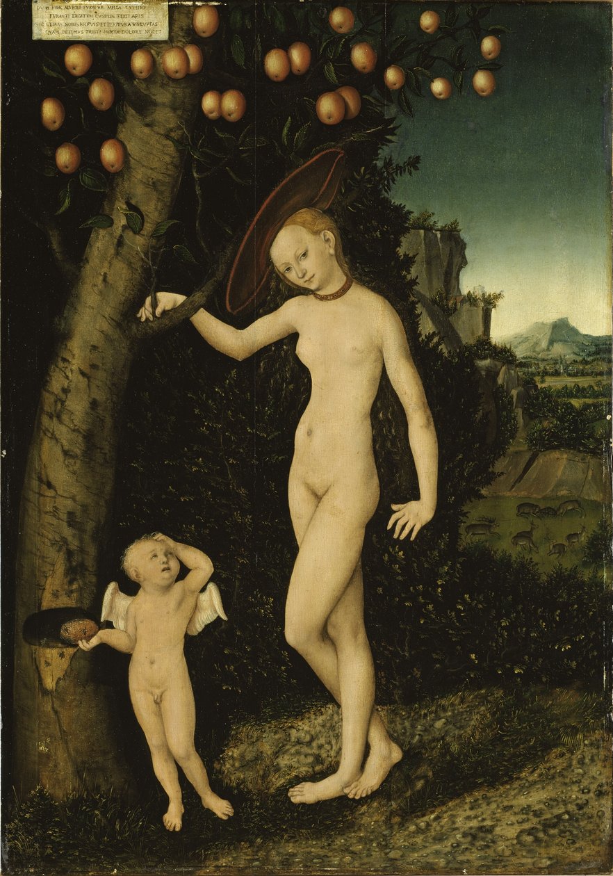 Venus mit Amor als Honigdieb von Lucas Cranach the Elder