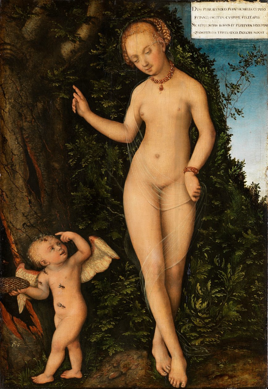 Venus mit Amor als Honigdieb von Lucas Cranach the Elder