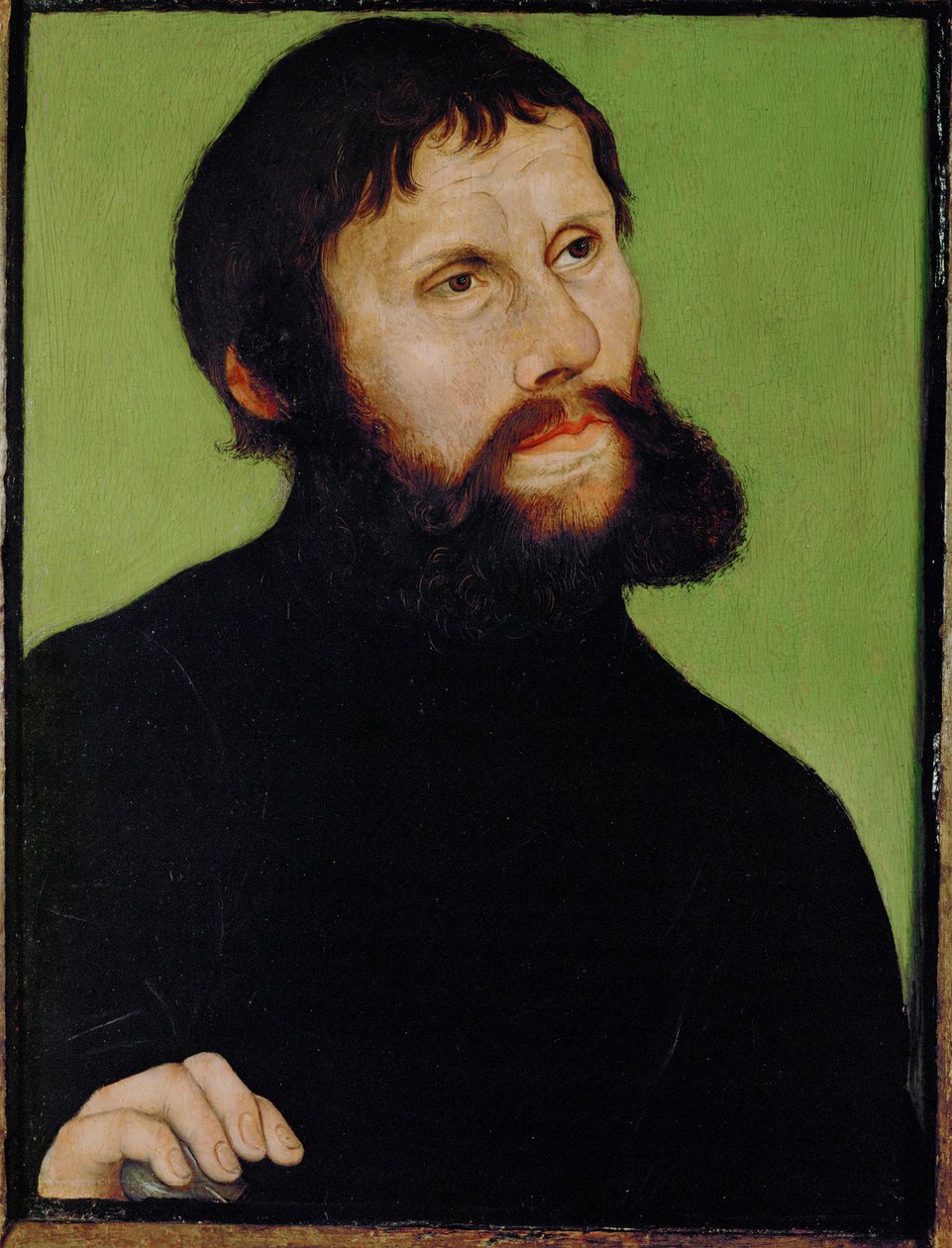 Martin Luther von Lucas the Elder Cranach