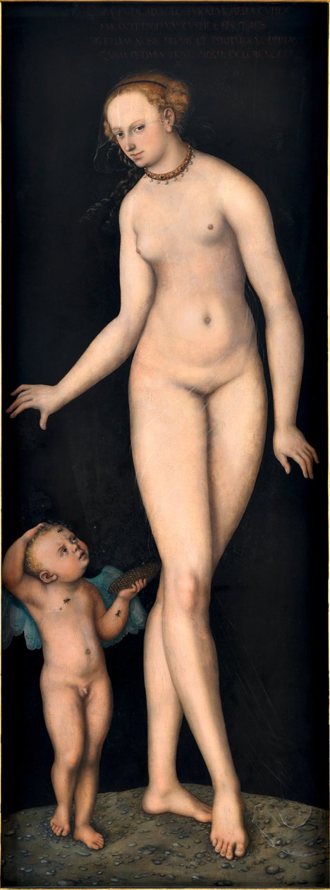 Venus mit Amor dem Honigdieb, von Lucas Cranach dem Älteren (1472-1553) von Lucas the Elder Cranach