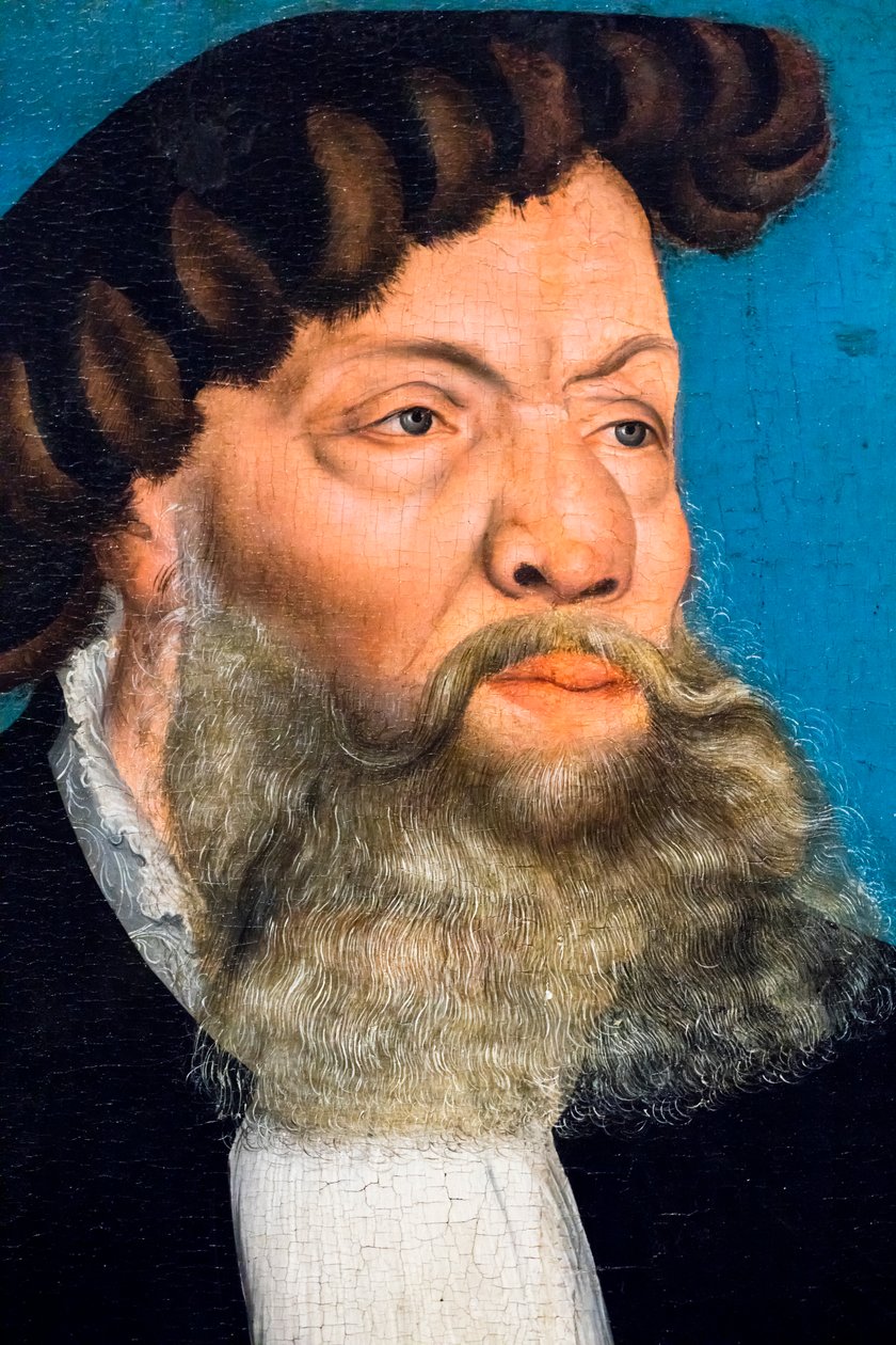 Jobst von Hayn von Lucas the Younger Cranach
