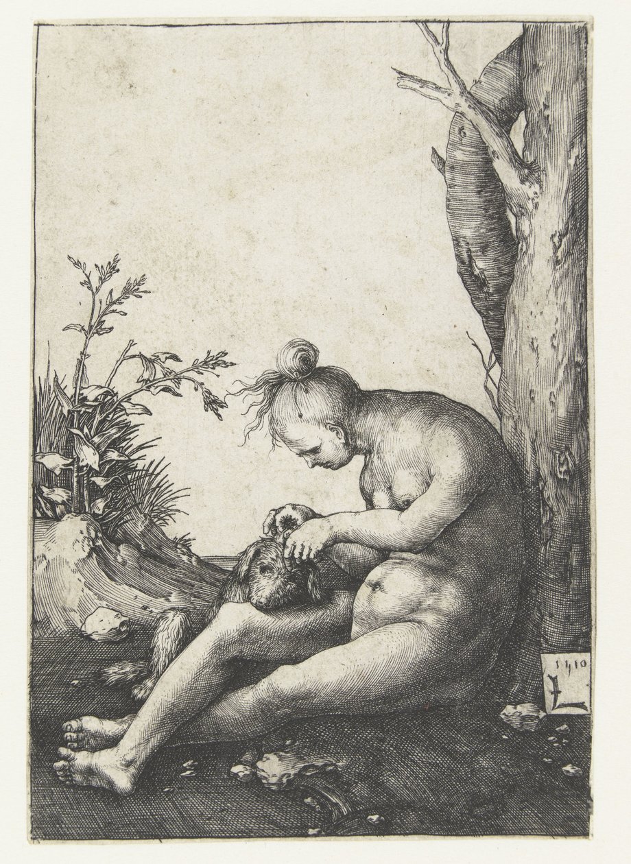 Nackte Frau mit Hund von Lucas van Leyden