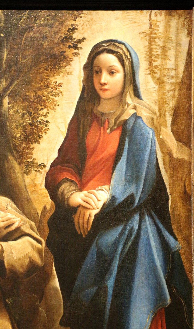 Vision des Heiligen Franziskus von Assisi von Ludovico Carracci