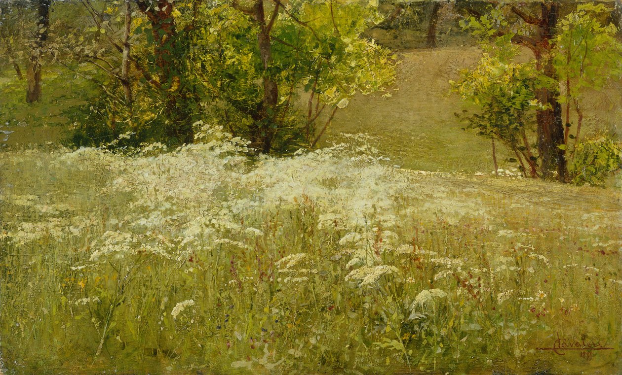 Wiesen-Kerbel auf einer Wiese von Ludovico Cavaleri