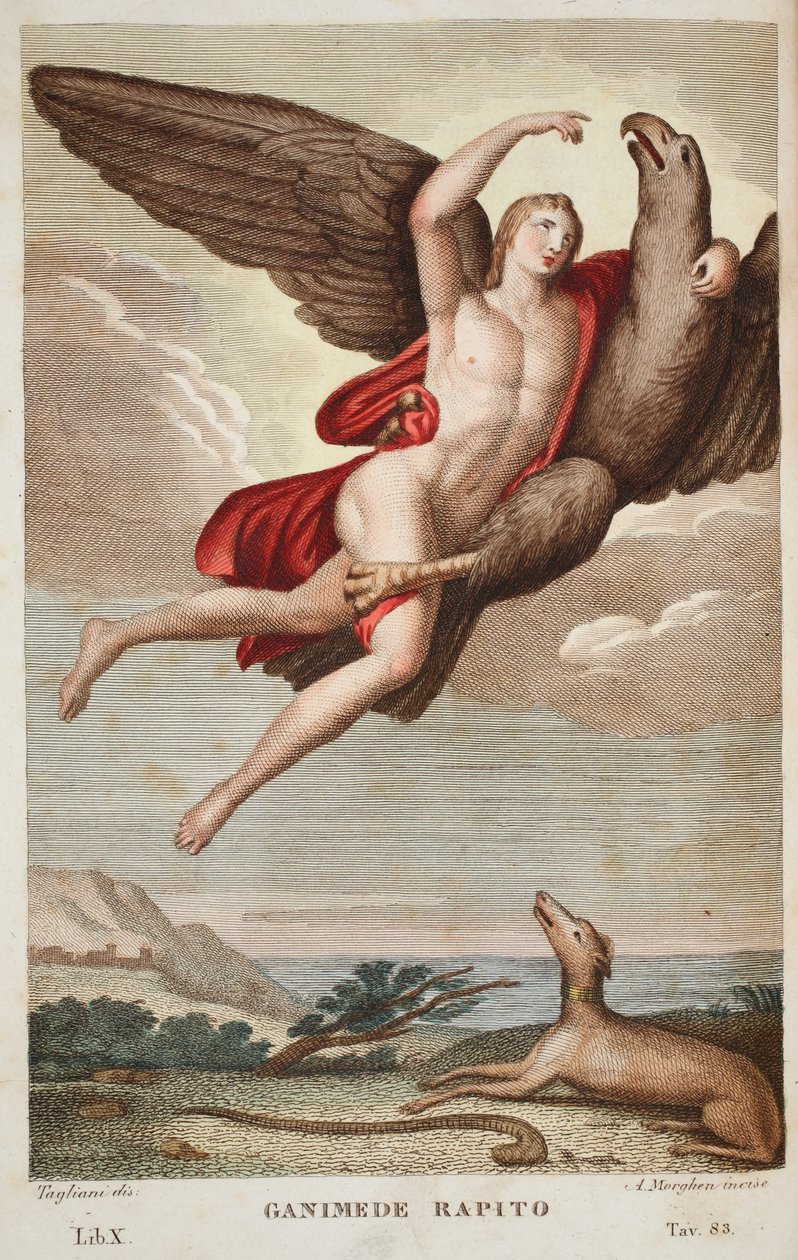 Ganymed in den Himmel getragen oder Ganimede Rapito, Buch X, Illustration aus Ovids Metamorphosen, Florenz, 1832 (handkolorierte Gravur) von Luigi Ademollo
