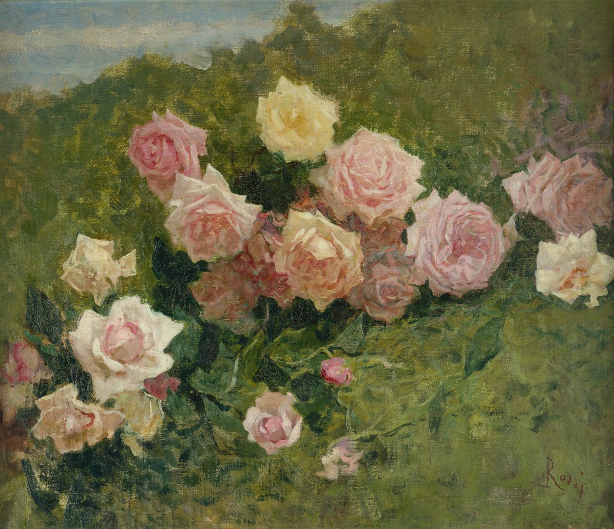 Studie von Rosen von Luigi Rossi