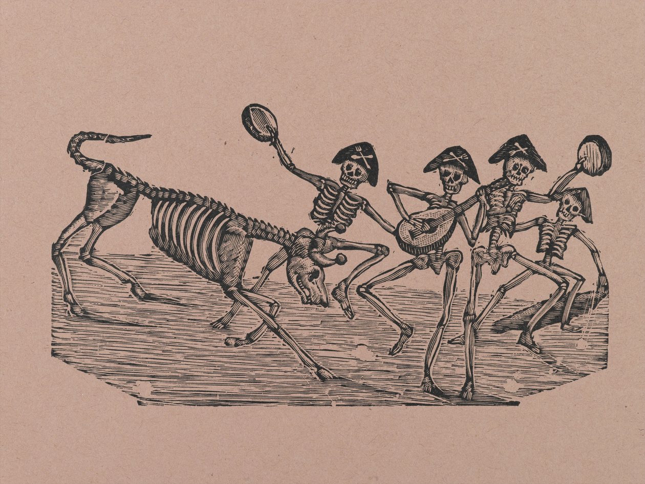 Skelett-Stierkämpfer, aus 330 Grabados Originales, gedruckt von Antonio Vanegas Arroyo (1850-1917), Mexiko-Stadt, Mexiko von Manuel Manilla