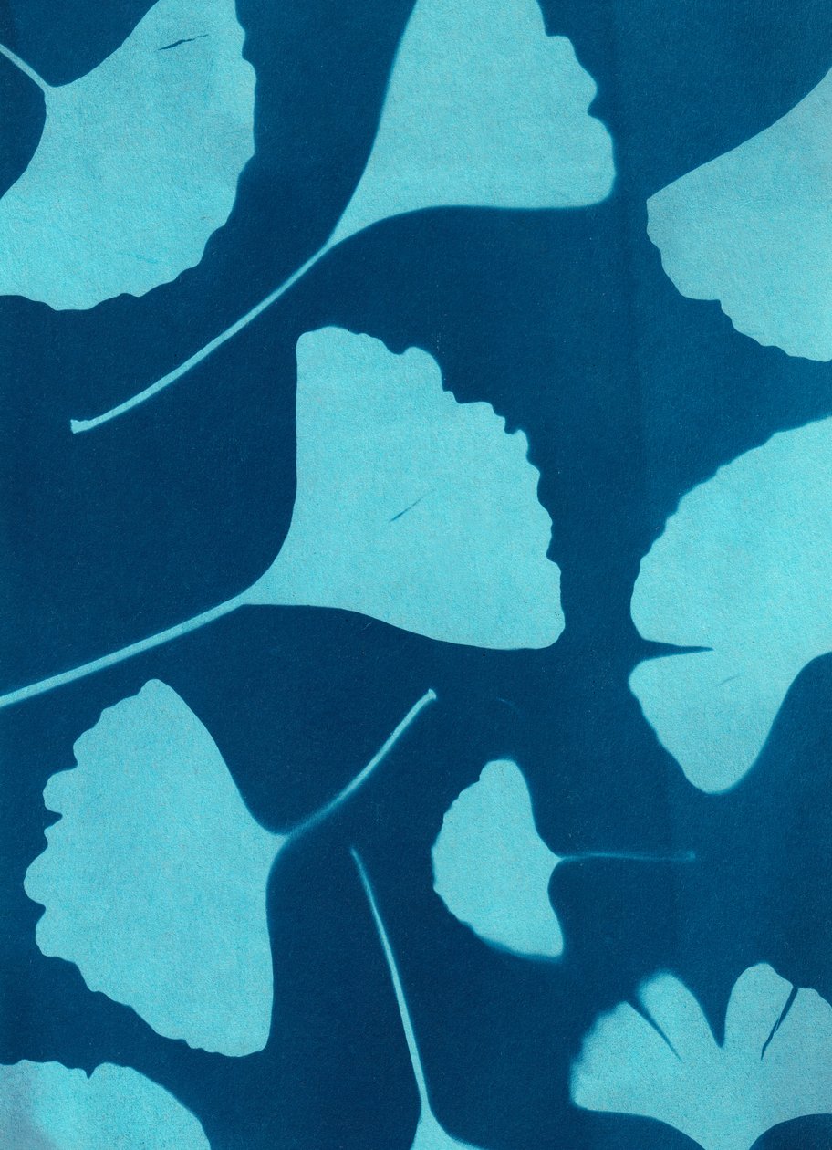Ginkgo biloba von Marco Campedelli
