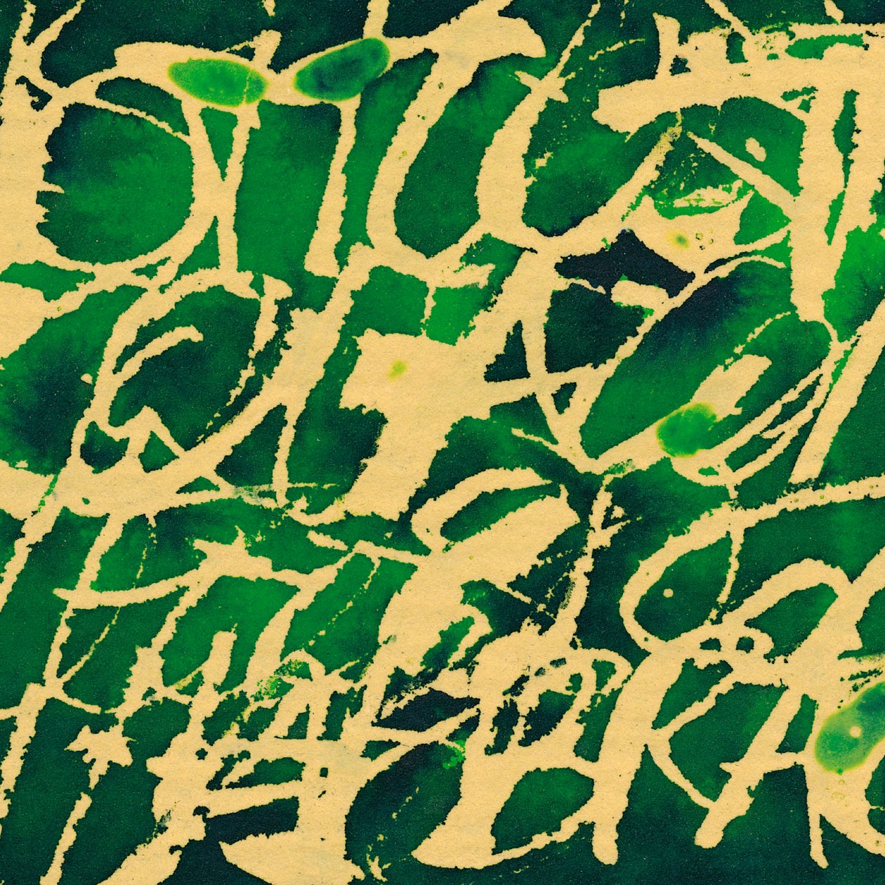 Grüne Schrift von Marco Campedelli