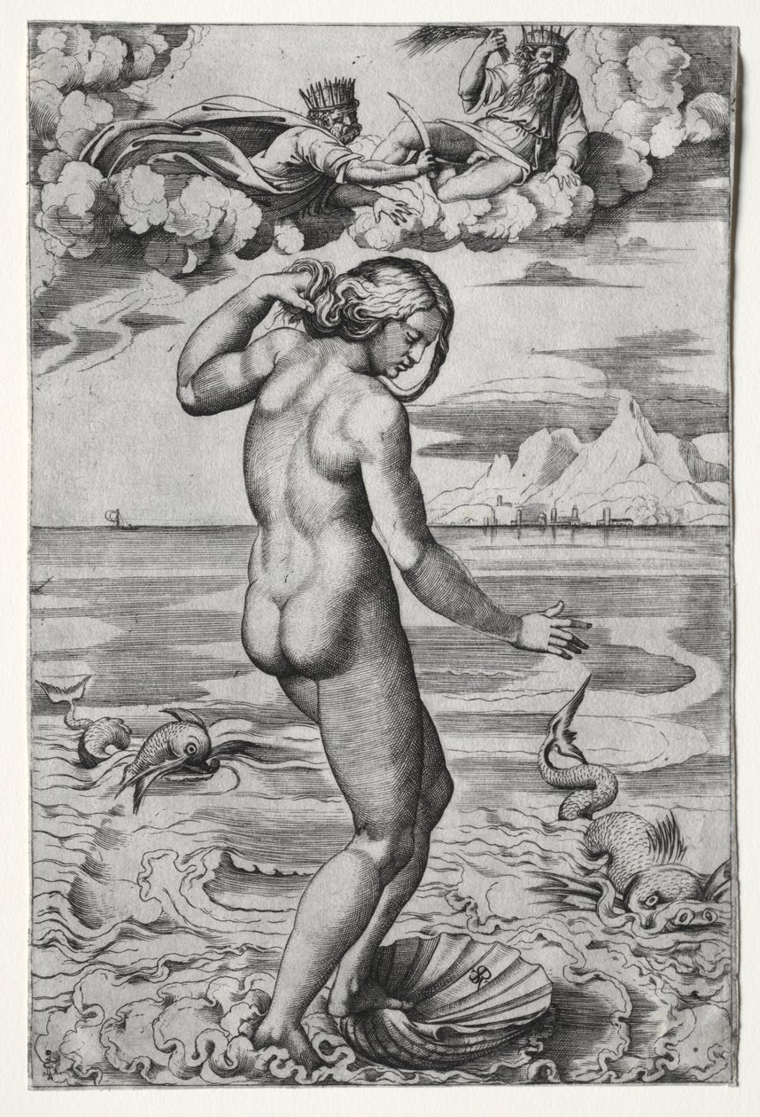 Die Geburt der Venus von Marco Dente
