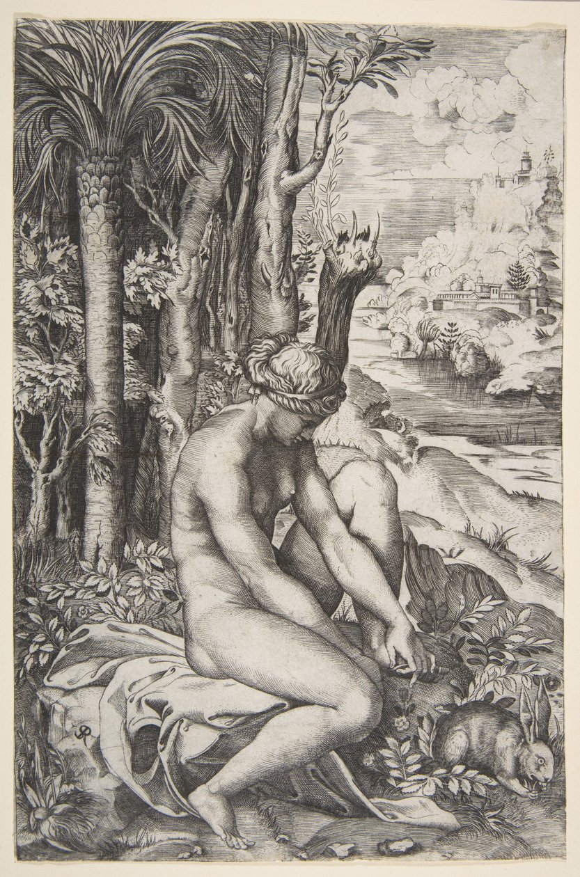 Venus entfernt einen Dorn aus ihrem linken Fuß, während sie auf einem Tuch neben Bäumen sitzt, ca. 1515-27 von Marco Dente