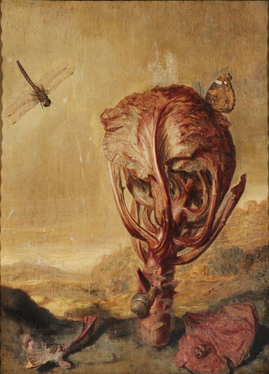 Ein Rotkohl, eine Schnecke, ein Schmetterling, eine Libelle, eine Biene und eine Assel in einer Landschaft von Margarethe de Heer