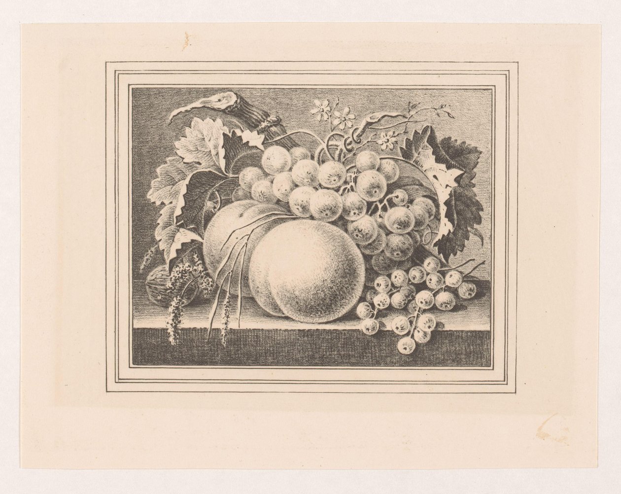 Komposition mit Früchten in einem Rahmen von Maria Geertruida de Goeje Barbiers (attributed to)