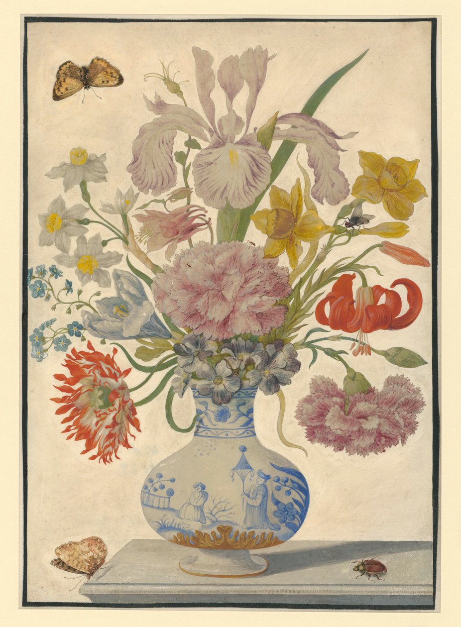 Chinesische Vase mit Iris, Lilien und Nelken. Auf dem Tisch links ein Schmetterling, rechts ein Maikäfer von Maria Sibylla Merian