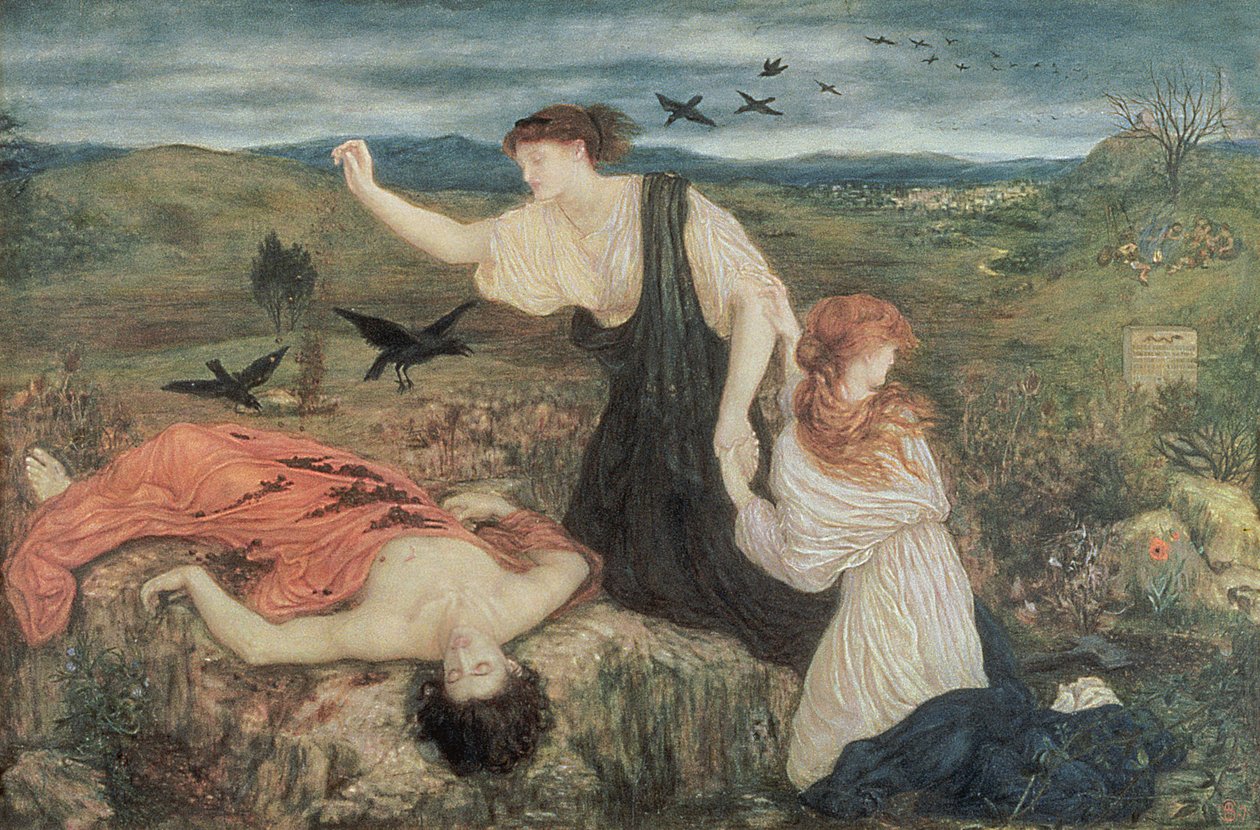 Antigone aus 