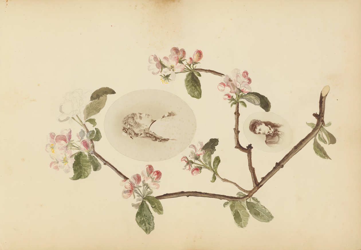 Das Madame B Album von Marie Blanche Hennelle Fournier