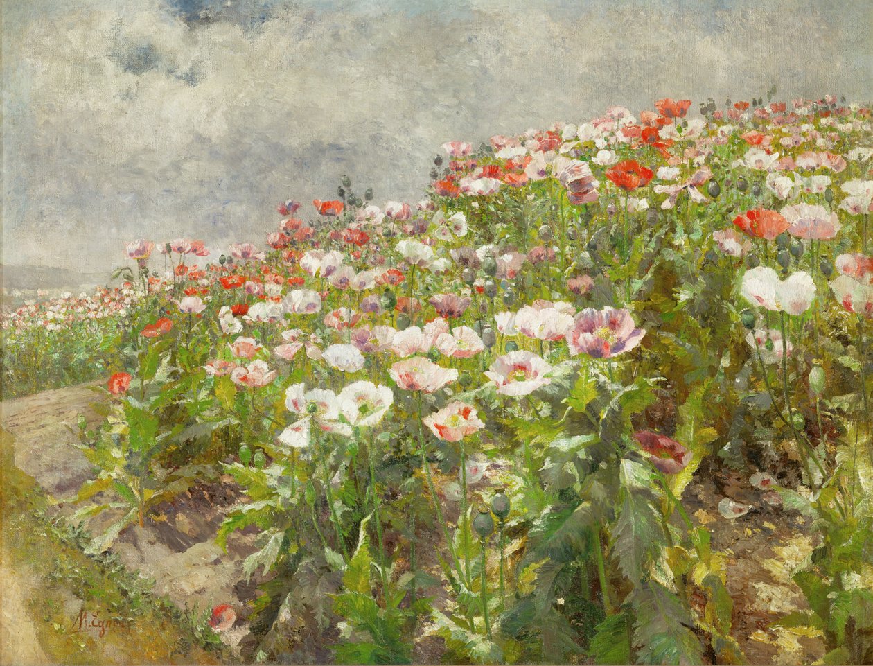 Mohnblumen in Blüte von Marie Egner