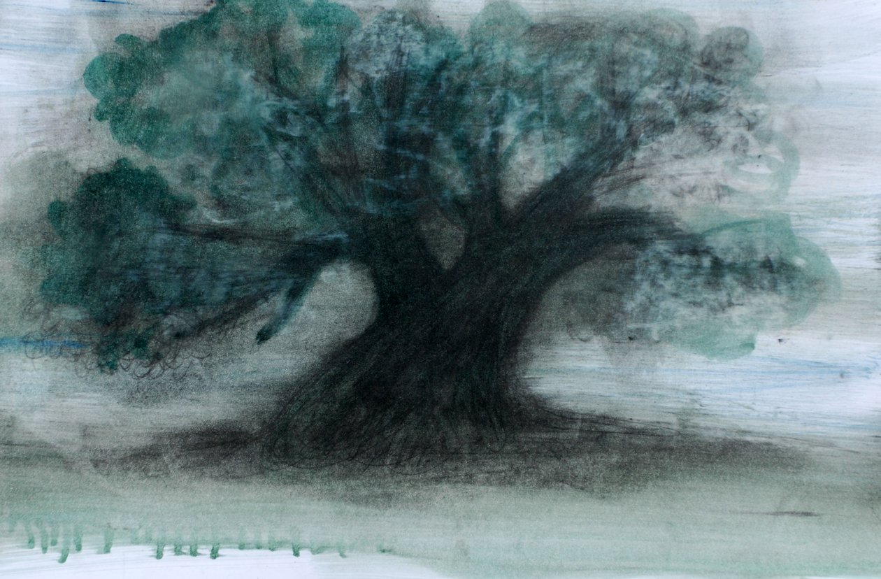 Olivenbaum von Marina Falco