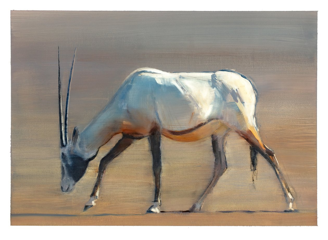 Arabischer Oryx, 2010 von Mark Adlington