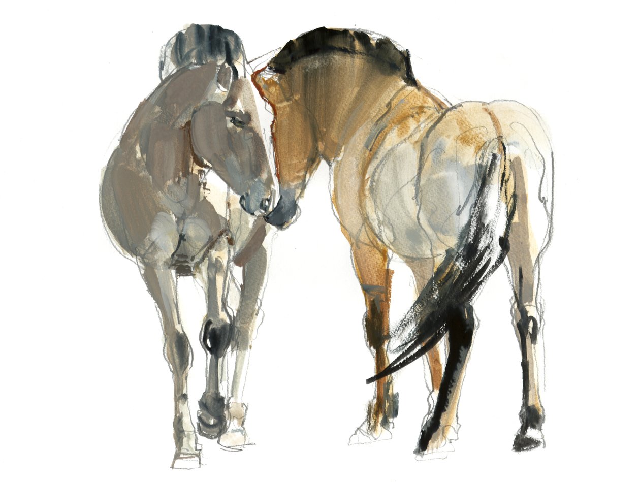 Rencontre (Przewalski), 2013 von Mark Adlington
