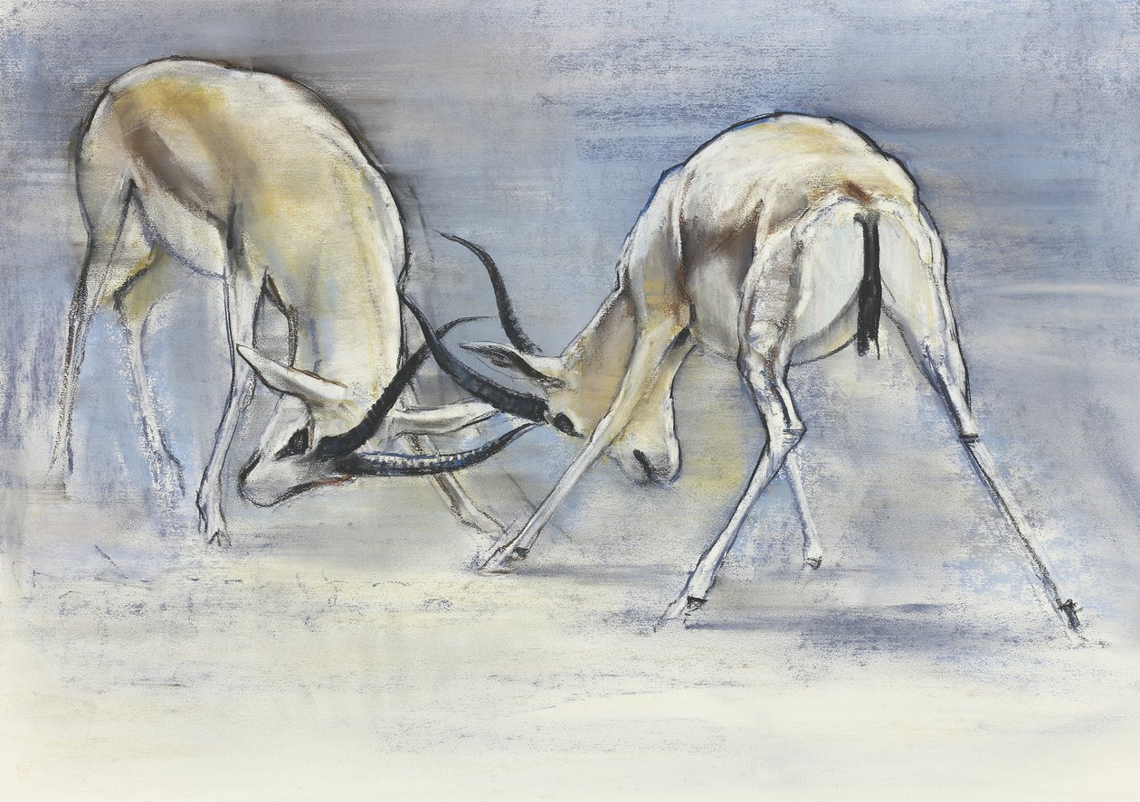Sandgazellen, 2009 von Mark Adlington