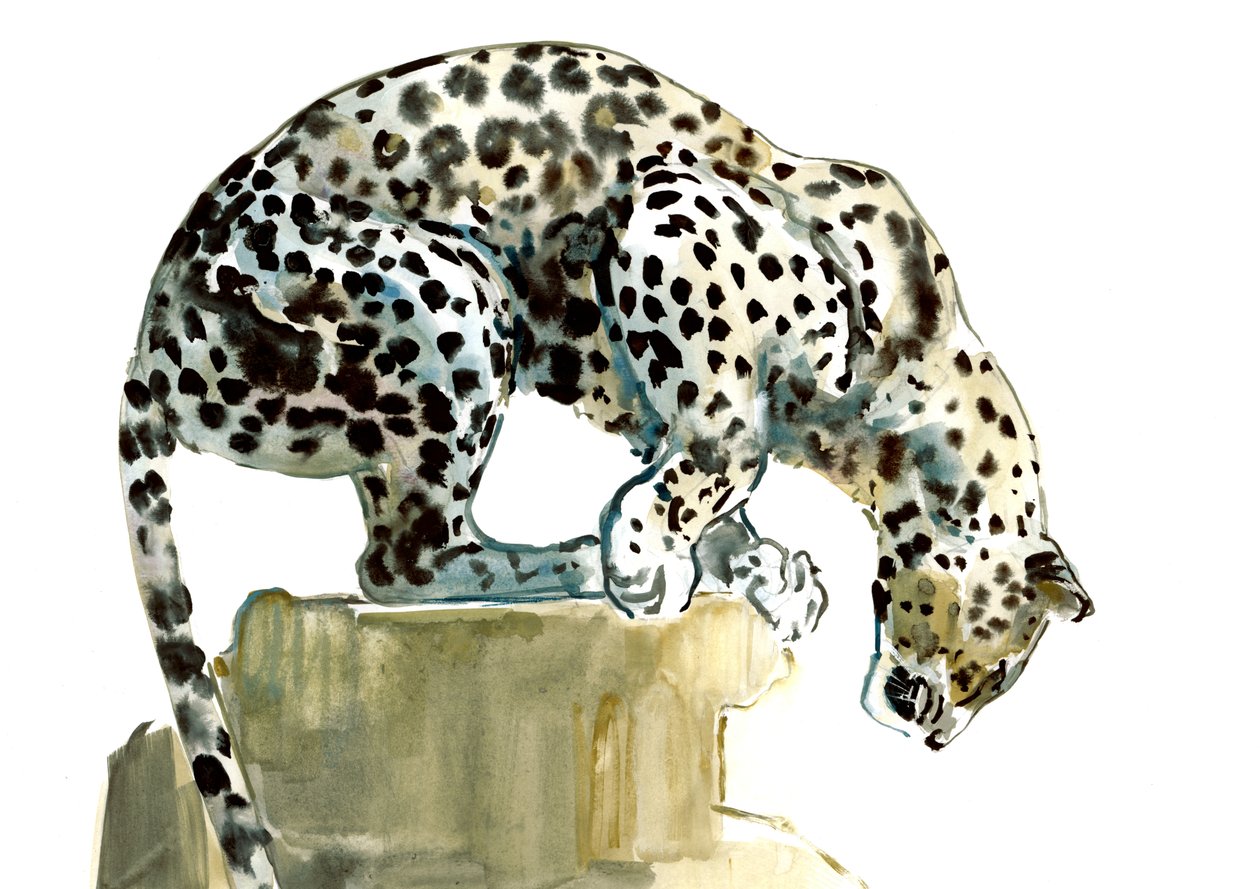 Wirbelsäule (Arabischer Leopard), 2015 von Mark Adlington