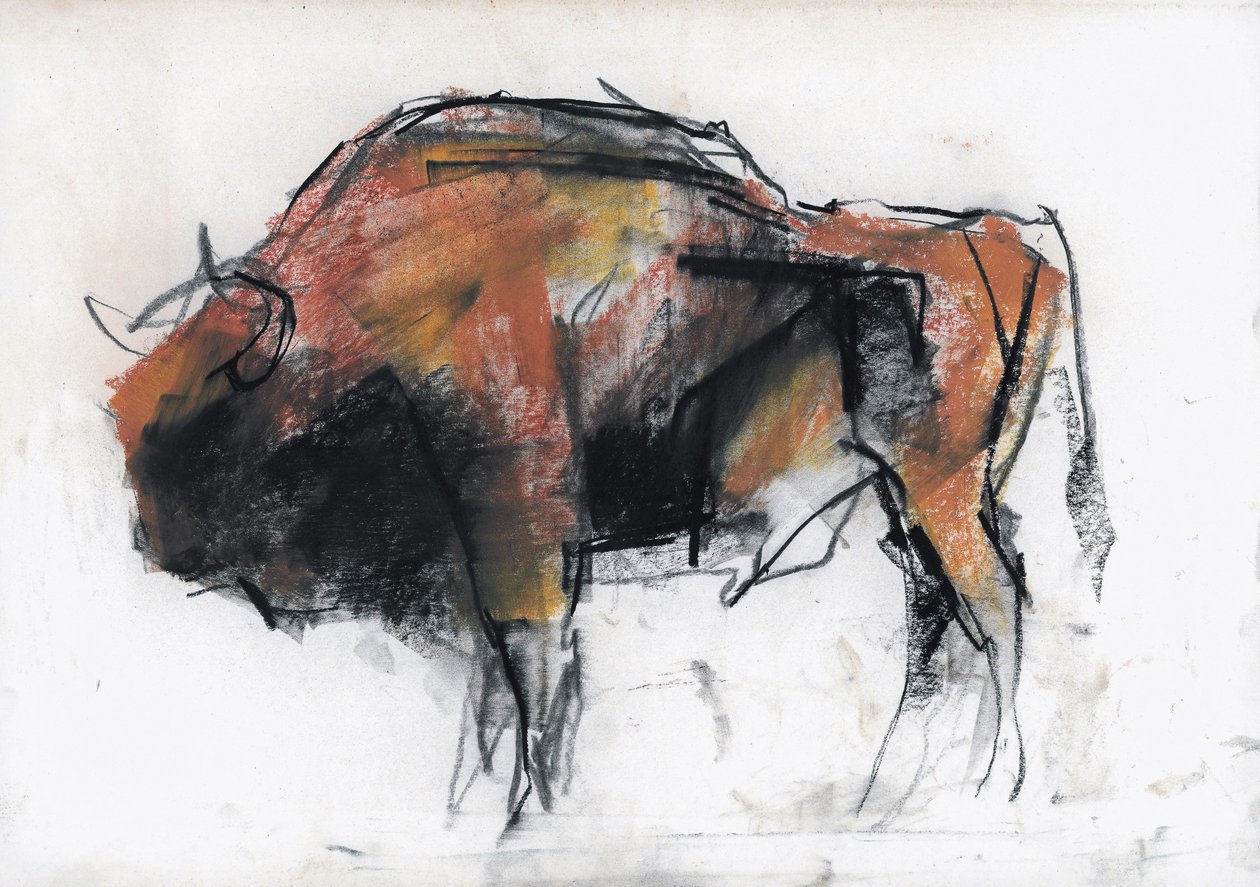 Zubre, Bialowieza von Mark Adlington