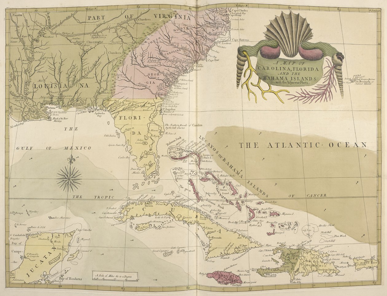 Eine Karte von Carolina, Florida und den Bahamas von Mark Catesby
