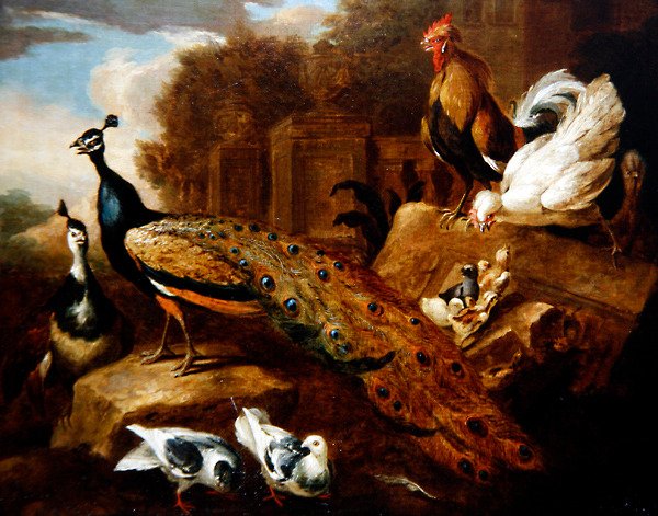 Pfauen, Tauben und andere Vögel vor einem klassischen Gebäude von Marmaduke (attr. to) Cradock