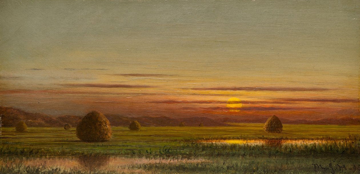 Sumpfgebiete von Martin Johnson Heade