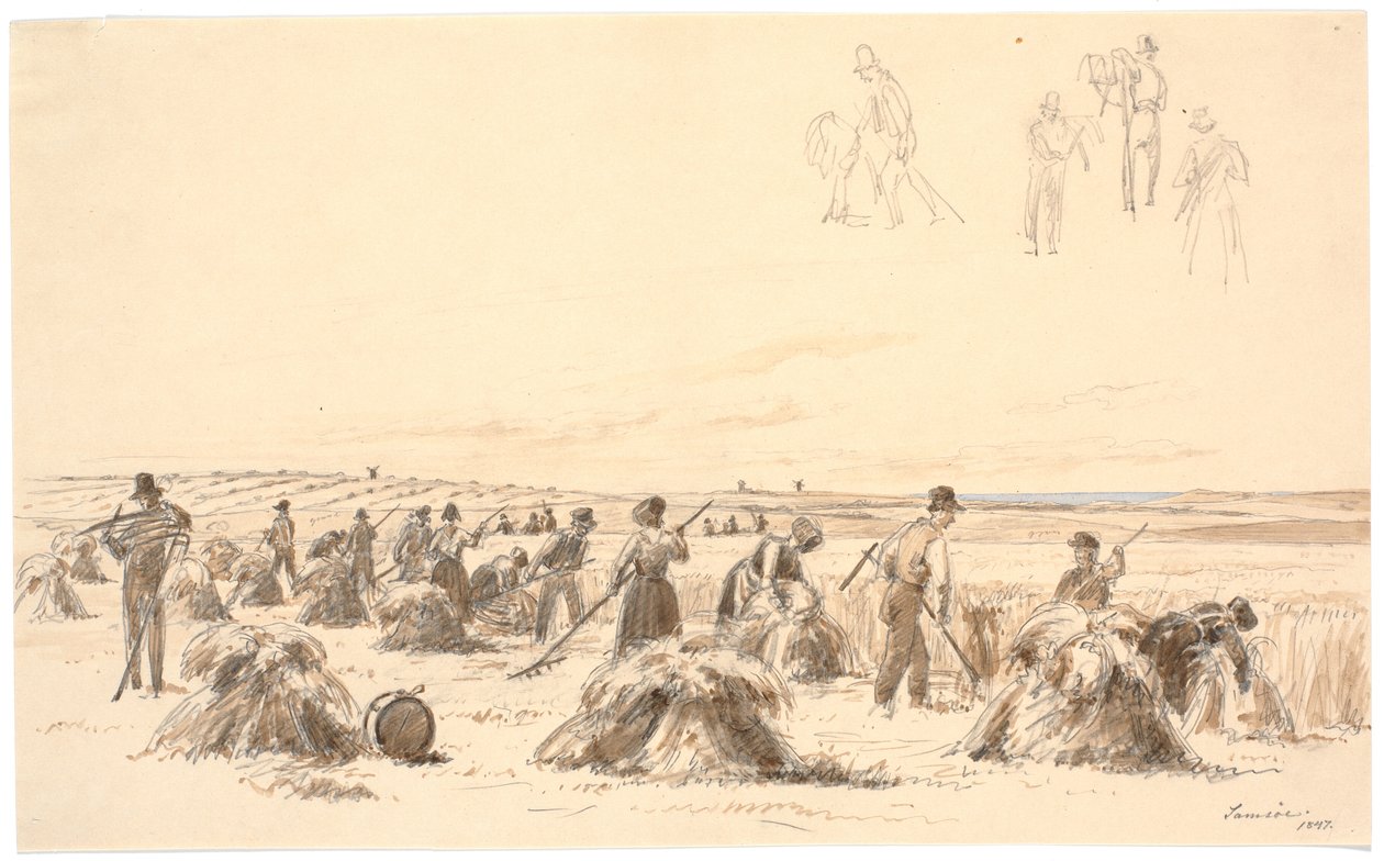 Erntearbeiter auf dem Feld. Im Hintergrund Mühlen und das Meer von Martinus Rørbye