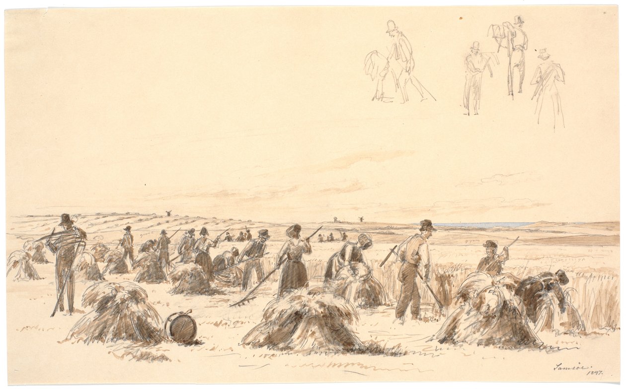 Erntearbeiter auf dem Feld. Im Hintergrund Mühlen und das Meer von Martinus Rørbye