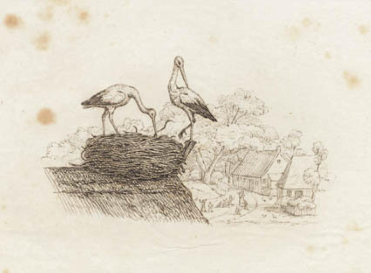 Illustration zu "Halvhundrede Fabler for Børn" von Hey von Martinus Rørbye