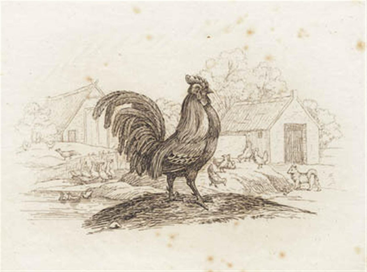 Illustration zu "Fünfzig Fabeln für Kinder" von Hey von Martinus Rørbye