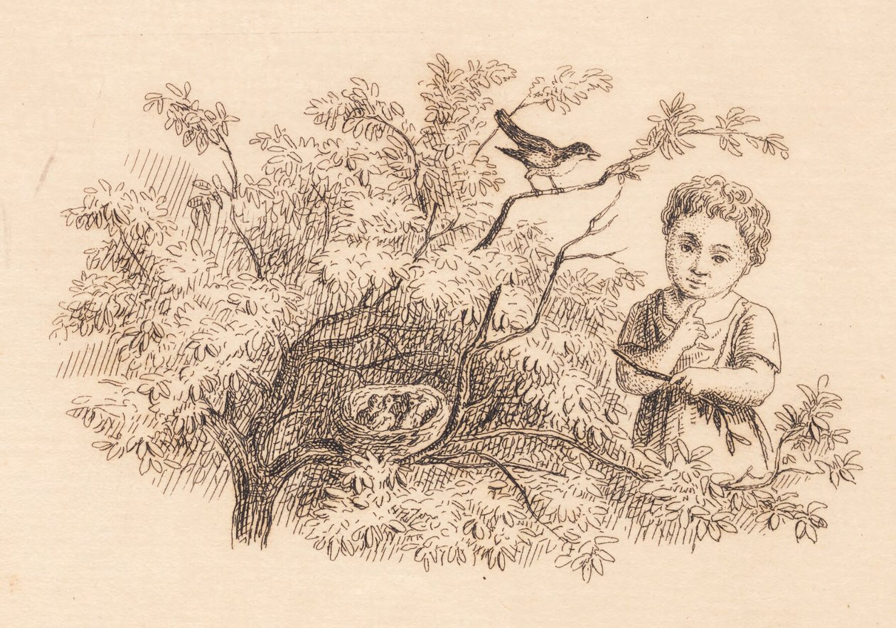 Illustration zu "Halvhundrede Fabler for Børn" von Hey von Martinus Rørbye